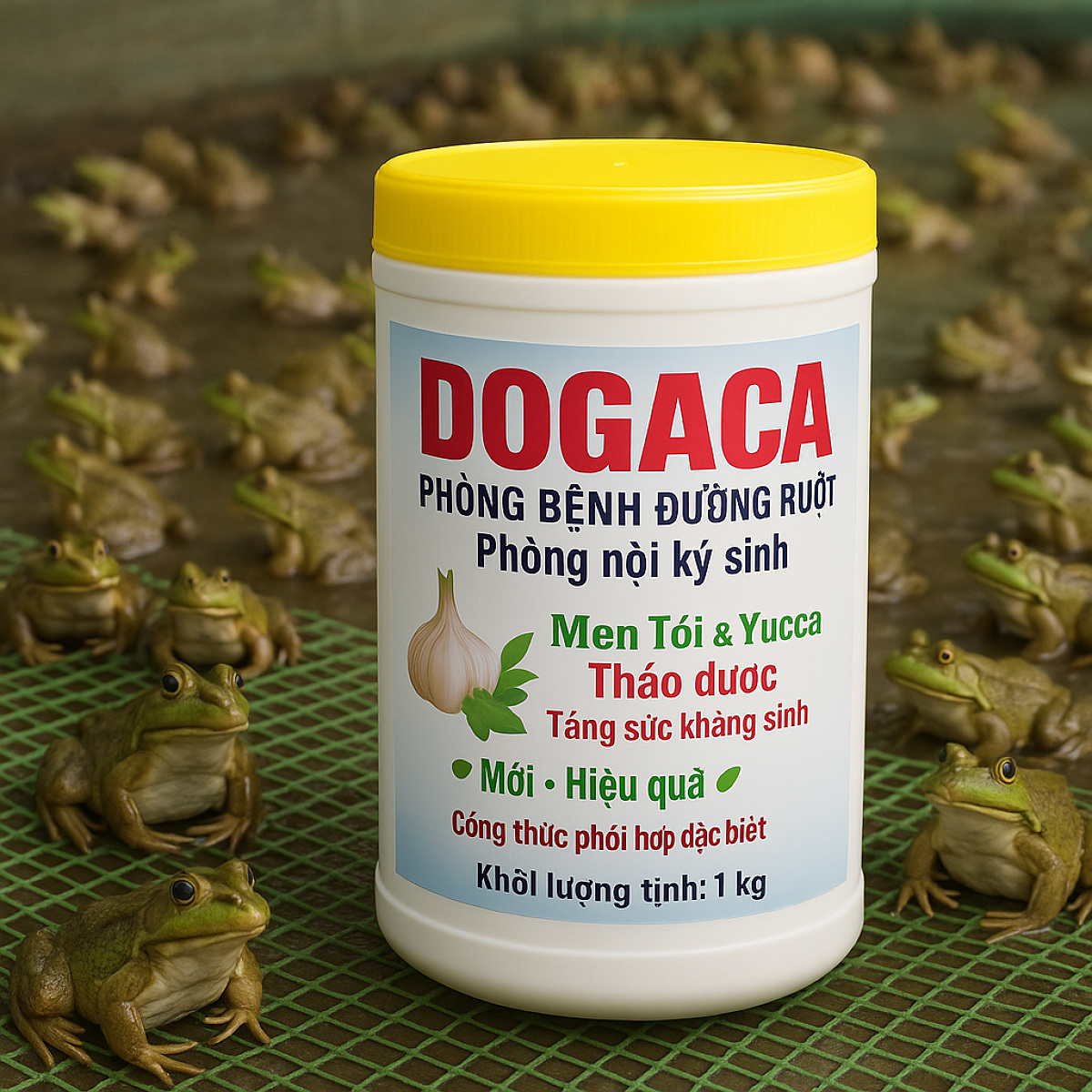 Hộp 1kg Men tỏi DOGACA
